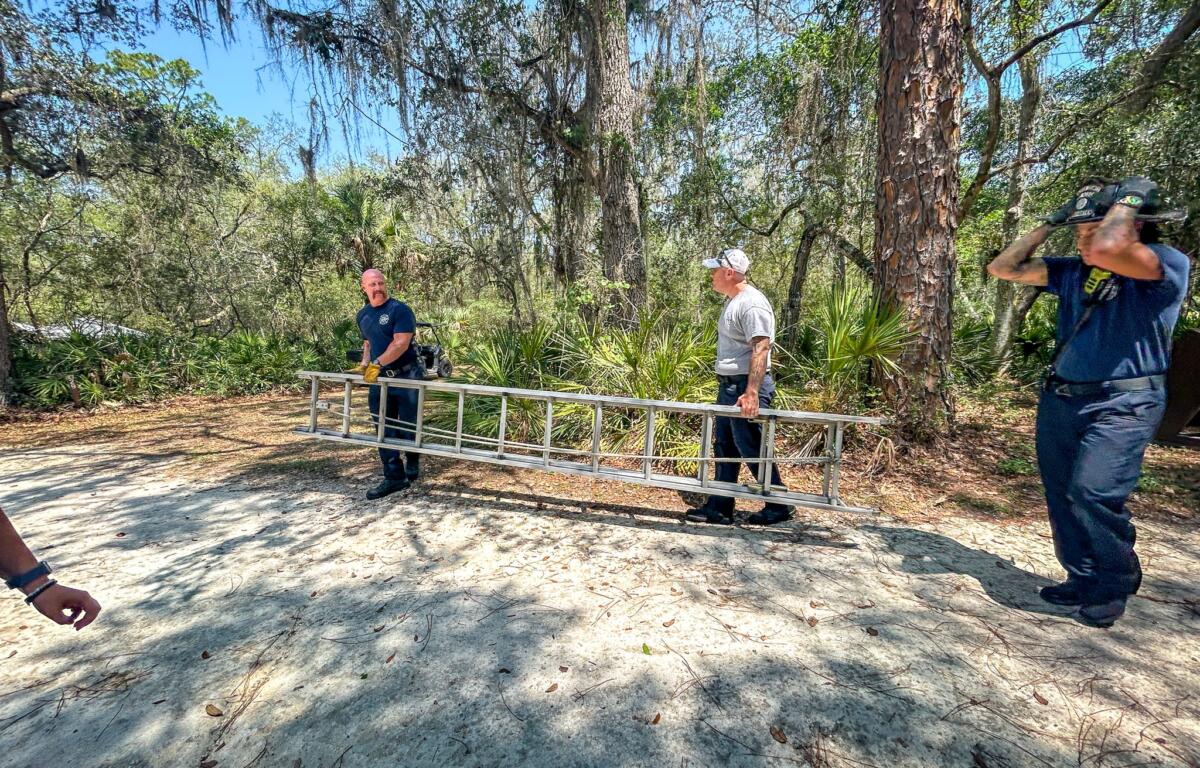 Photo shows two men carrying a ladder with another men following behind them