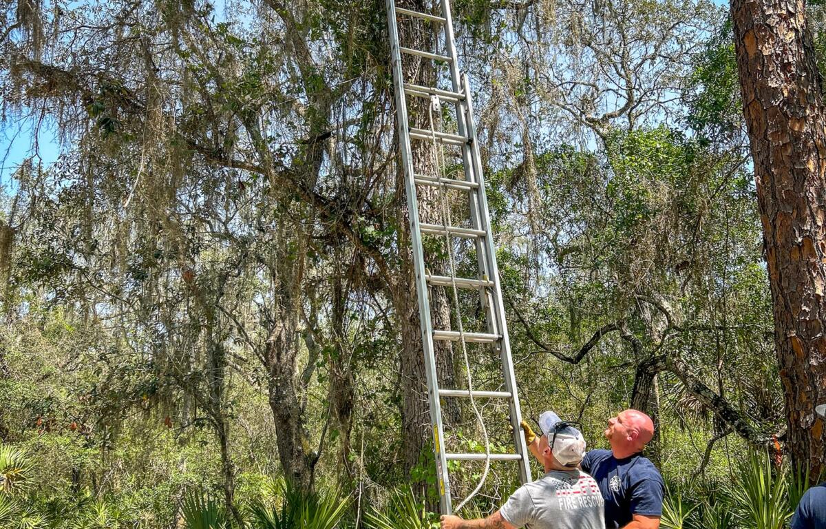 two men one in white shirt and another in blue shirt and orange hat help set up a ladder