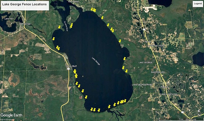 Map of Lake George showing fenced enclosures along the shoreline for eelgrass restoration.