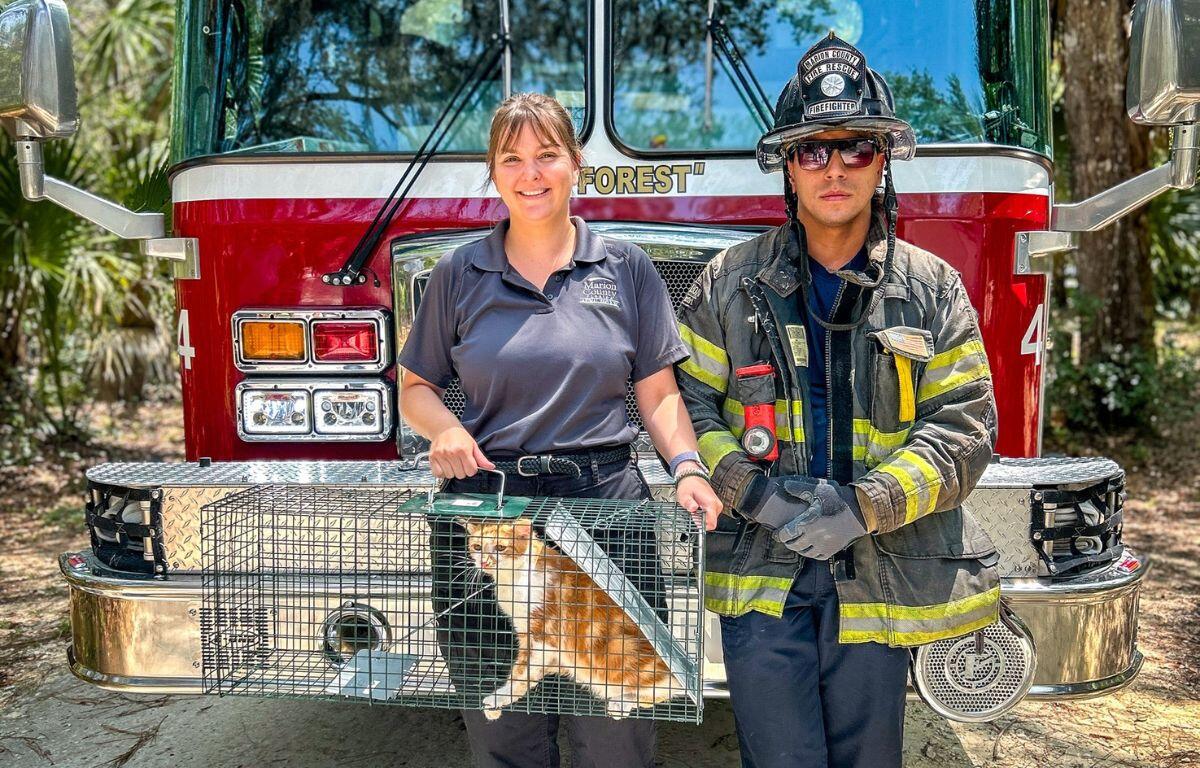 Pictured is Marissa Stone (left) in a grey shirt holding an orange cat and Jacob May (right) in a fire rescue uniform