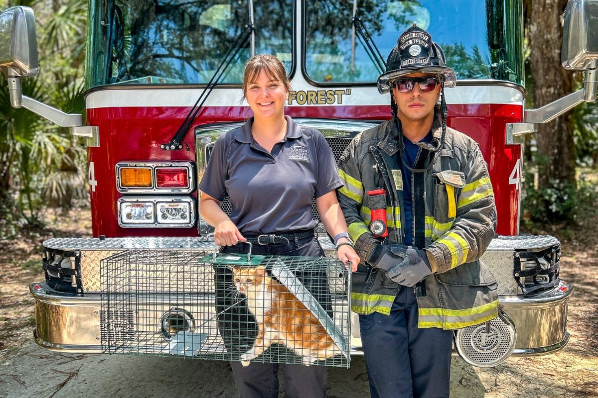 Pictured is Marissa Stone (left) in a grey shirt holding an orange cat and Jacob May (right) in a fire rescue uniform
