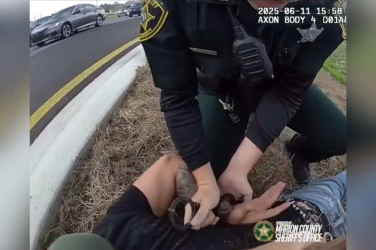 Deputy handcuffing suspect on grassy roadside after foot chase on South U.S. Highway 441 in Marion County