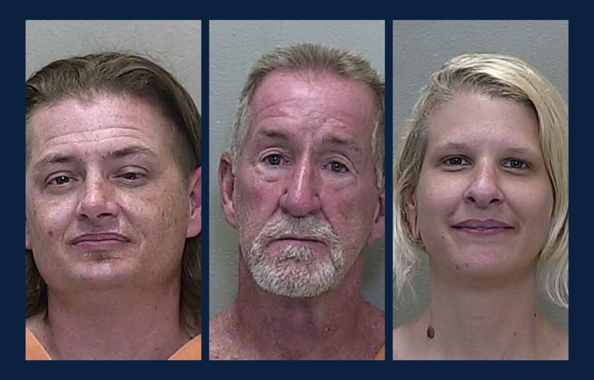 Mugshots of Michael Loren, Stephen Libardoni, and Alexandra Krolman, who were arrested during the No Kings rally in Ocala on June 14, 2025.