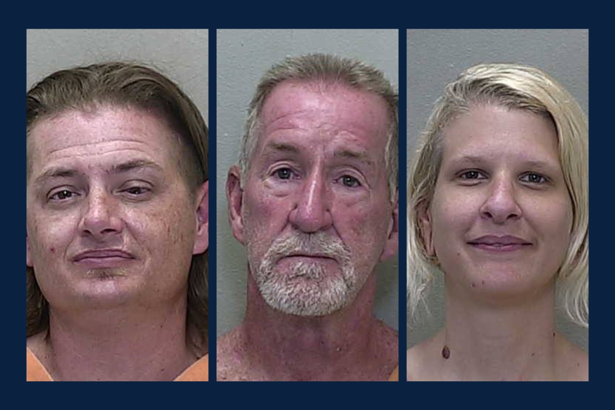 Mugshots of Michael Loren, Stephen Libardoni, and Alexandra Krolman, who were arrested during the No Kings rally in Ocala on June 14, 2025.
