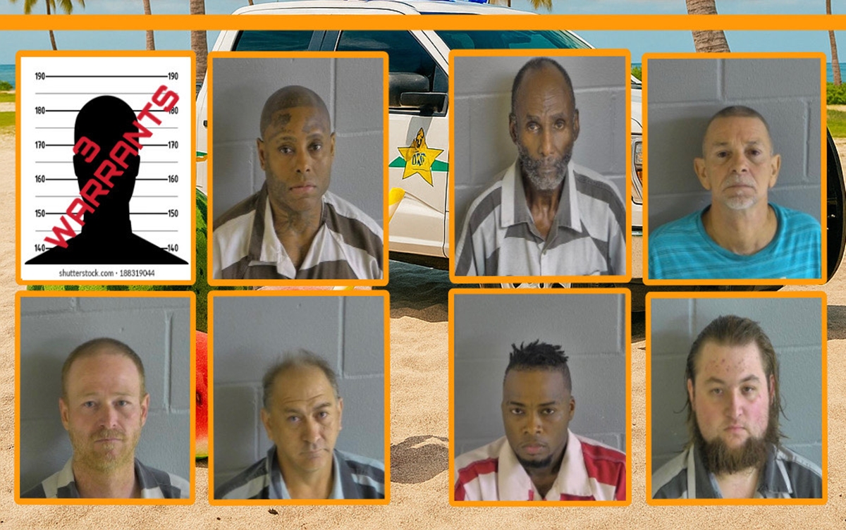 Mugshots of seven individuals arrested and a graphic showing three outstanding warrants in Levy County sex offender crackdown