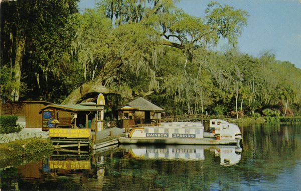 A boat is lined up along a wooden dock on a crystal-clear river, with trees and tropical plants in the background and calm water reflecting the sky.