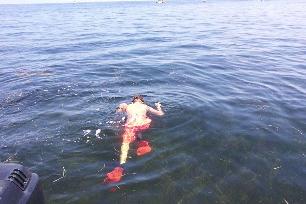 Person snorkeling in shallow seagrass beds during scalloping season in Crystal River, Florida.