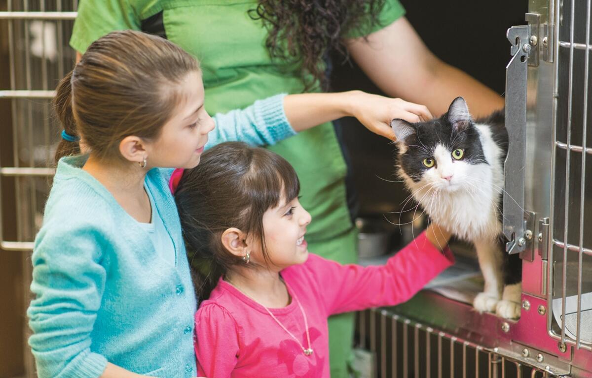 Two young girls pet a black and white cat inside a shelter kennel as a shelter worker looks on.