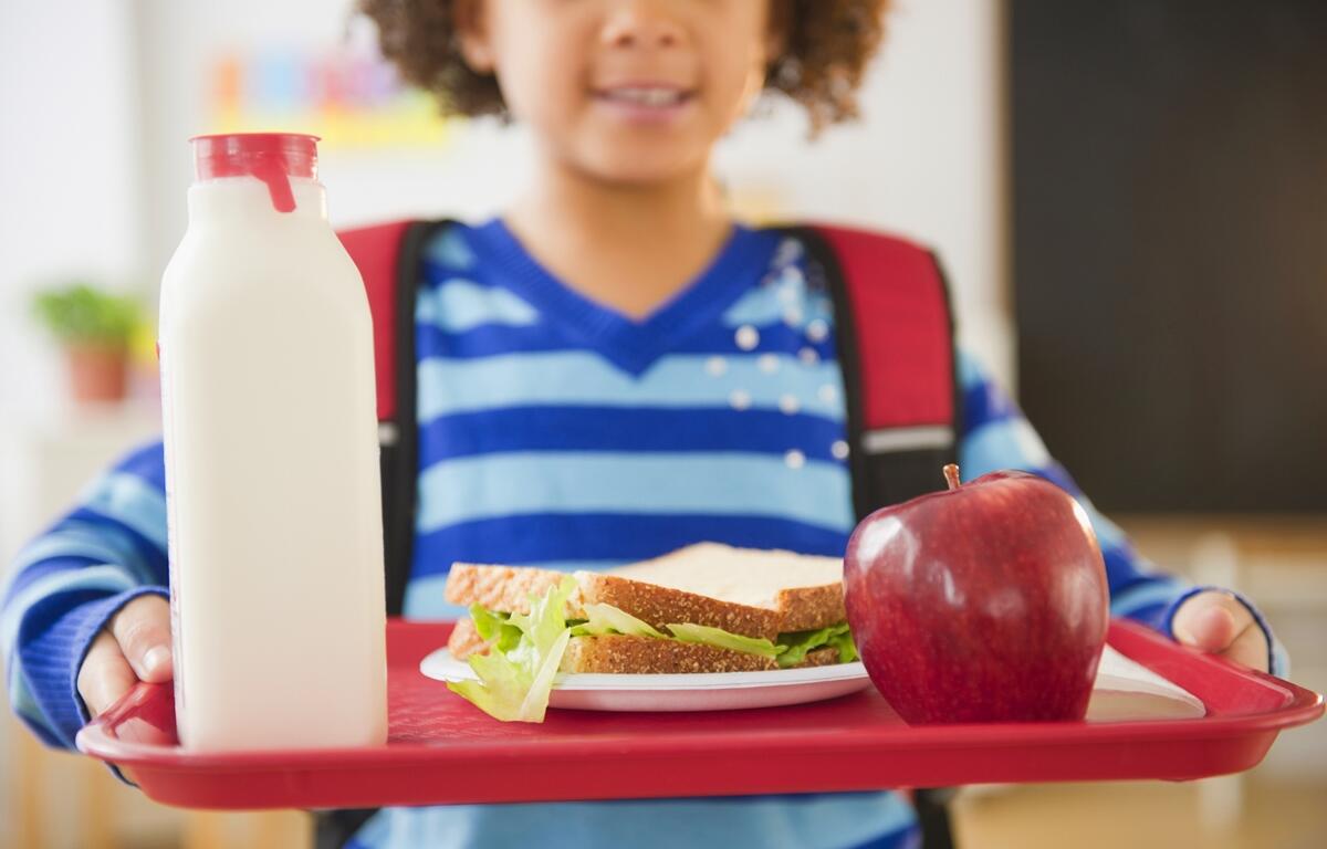 Child holding a red lunch tray with a sandwich, apple, and bottle of milk at a school meal program.
