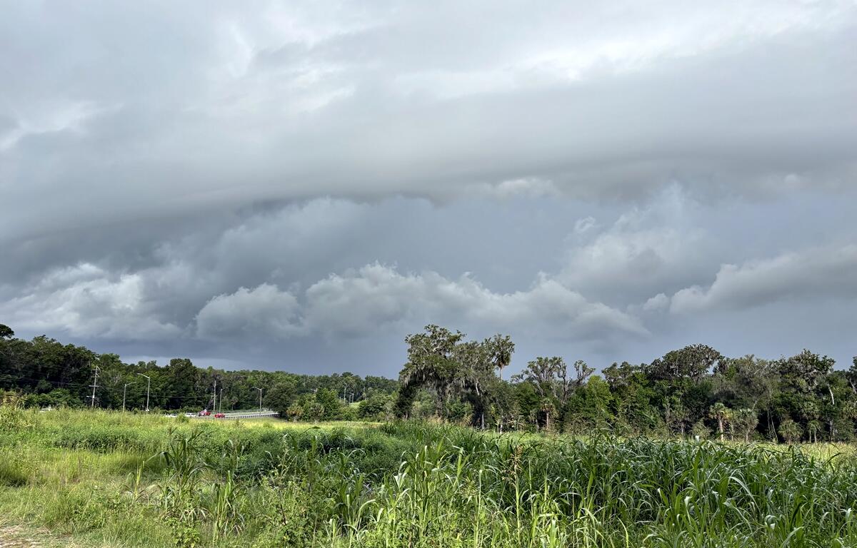Thick dark clouds forming over a grassy field and trees in Marion County, signaling approaching rain.