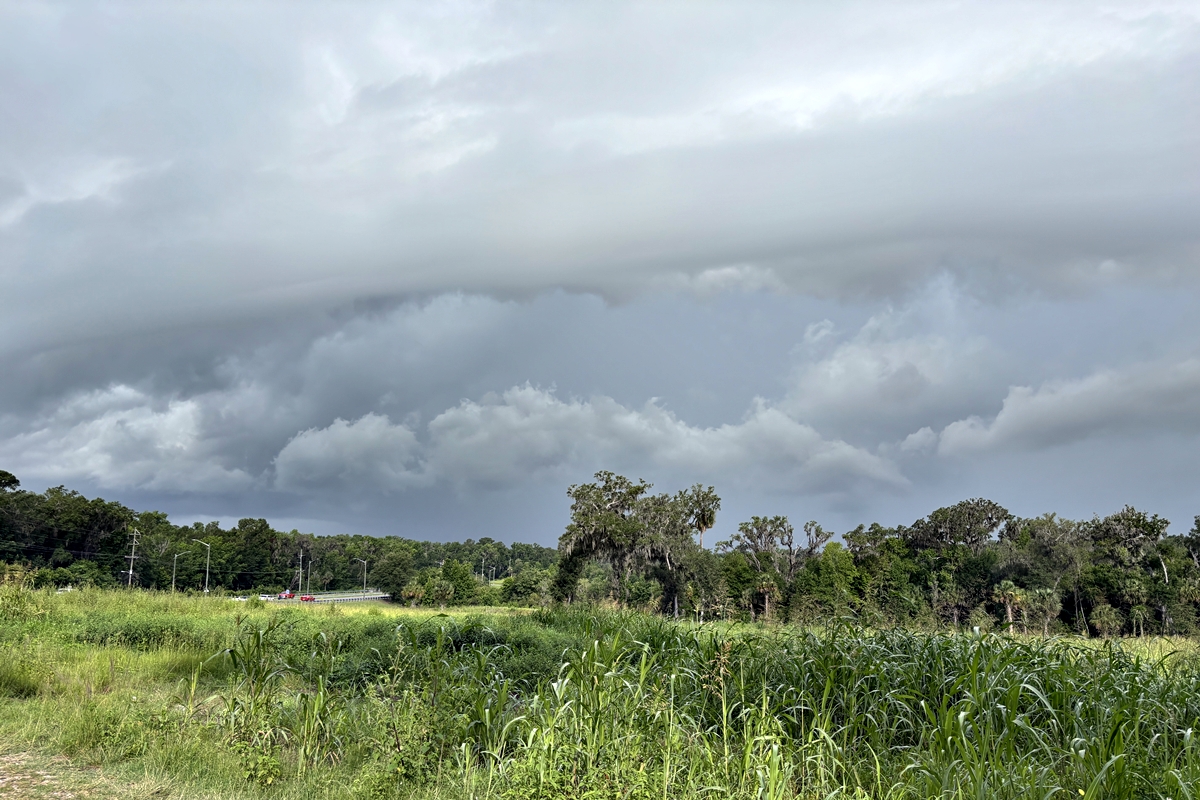 Thick dark clouds forming over a grassy field and trees in Marion County, signaling approaching rain.