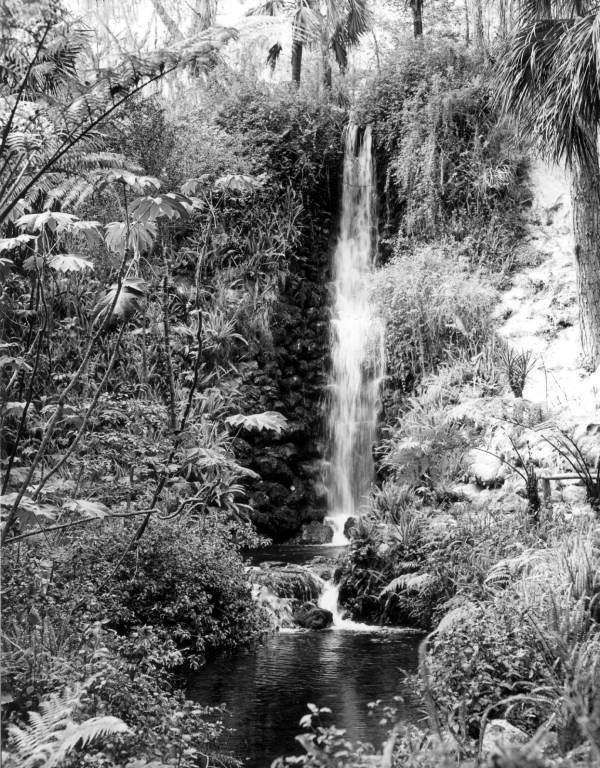 Black and white photograph of a cascading waterfall, surrounded by lush foliage and rocky terrain. The water flows smoothly over a stone ledge into a rippling pool below, mist subtly rising from the base.