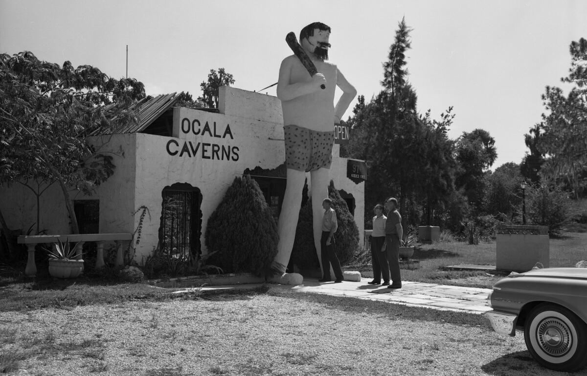 Black and white photo of a roadside attraction called "Ocala Caverns." In front of the building stands a towering statue of a caveman holding a club over his shoulder, wearing a beard and patterned shorts. Three people stand near the statue, looking up at it, while a vintage car is parked partially in frame on the right side. The building has a stucco exterior with arched windows and is surrounded by trees and shrubs.