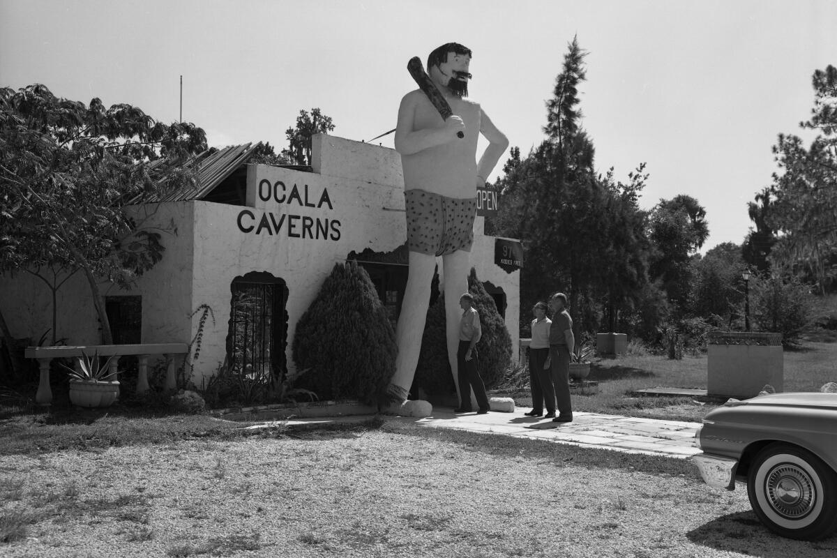 Black and white photo of a roadside attraction called "Ocala Caverns." In front of the building stands a towering statue of a caveman holding a club over his shoulder, wearing a beard and patterned shorts. Three people stand near the statue, looking up at it, while a vintage car is parked partially in frame on the right side. The building has a stucco exterior with arched windows and is surrounded by trees and shrubs.