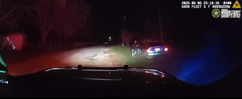 A dashcam captures a nighttime scene where a suspect exits a vehicle and begins to flee on foot as law enforcement arrives.