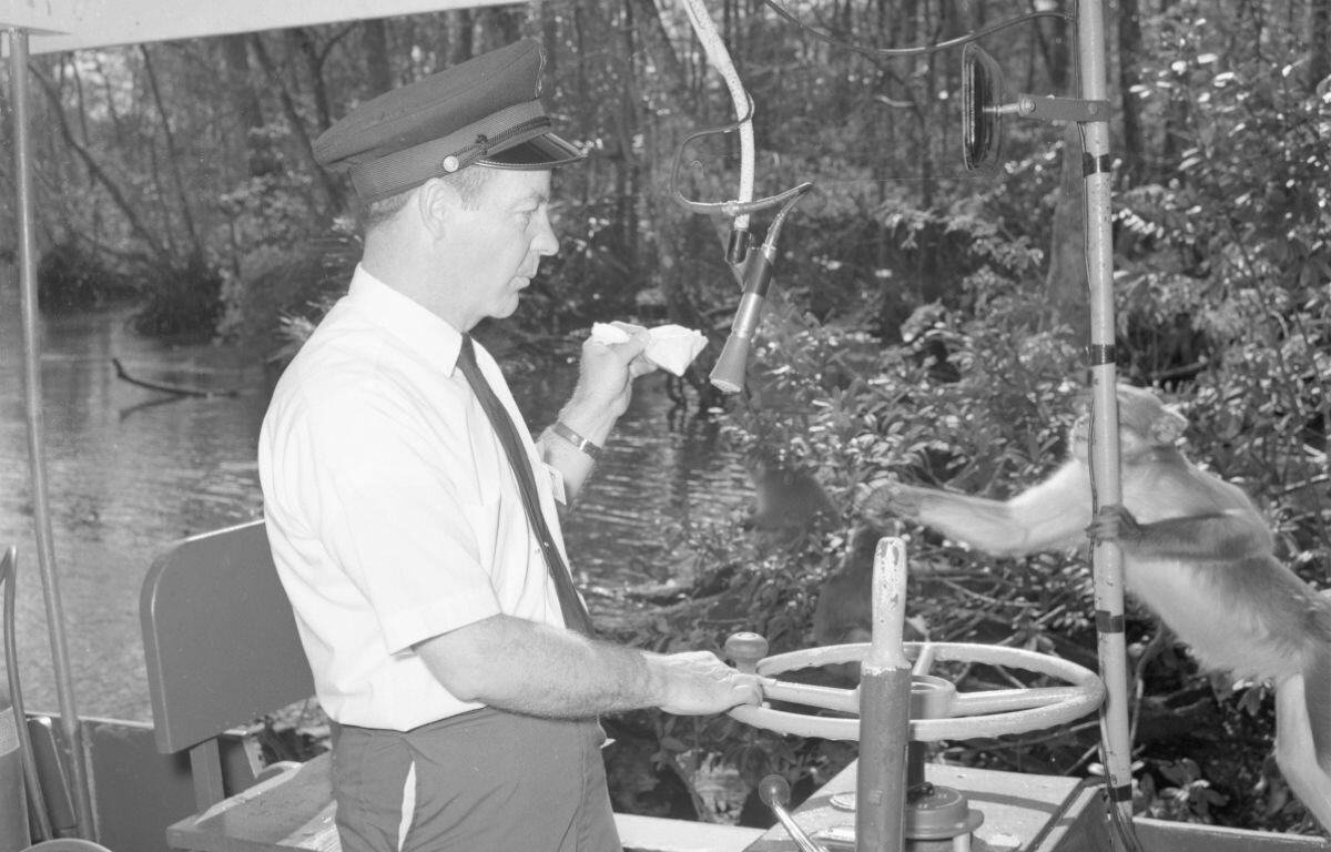 A uniformed boat captain on a river tour extends a piece of food toward a rhesus macaque monkey, which is reaching from the boat's edge. The lush forest and waterway of the background suggest a tropical or subtropical environment, possibly a wildlife attraction.