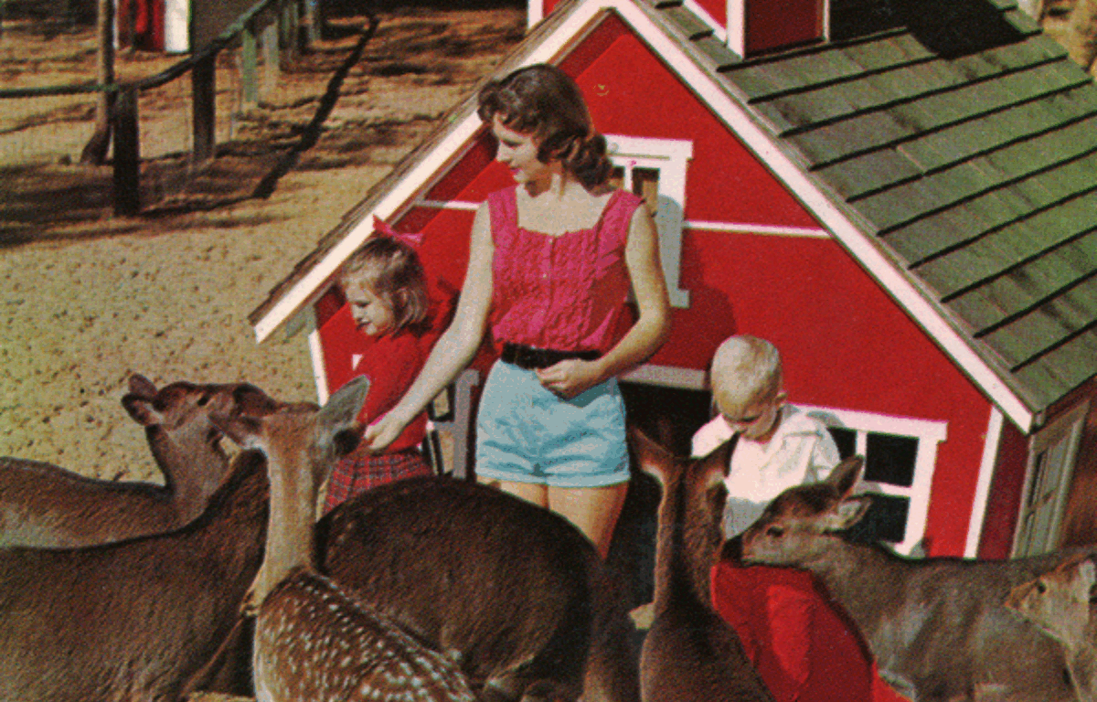 A colored image of three individuals, one adult woman and two children, hand feeding a group of fallow deer.