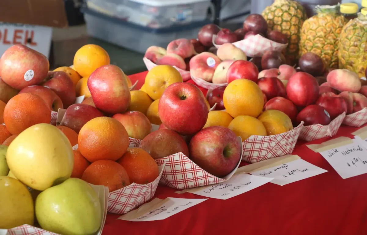 An array of apples, oranges and other fruits are laid out on a table with a red tablecloth in baskets.
