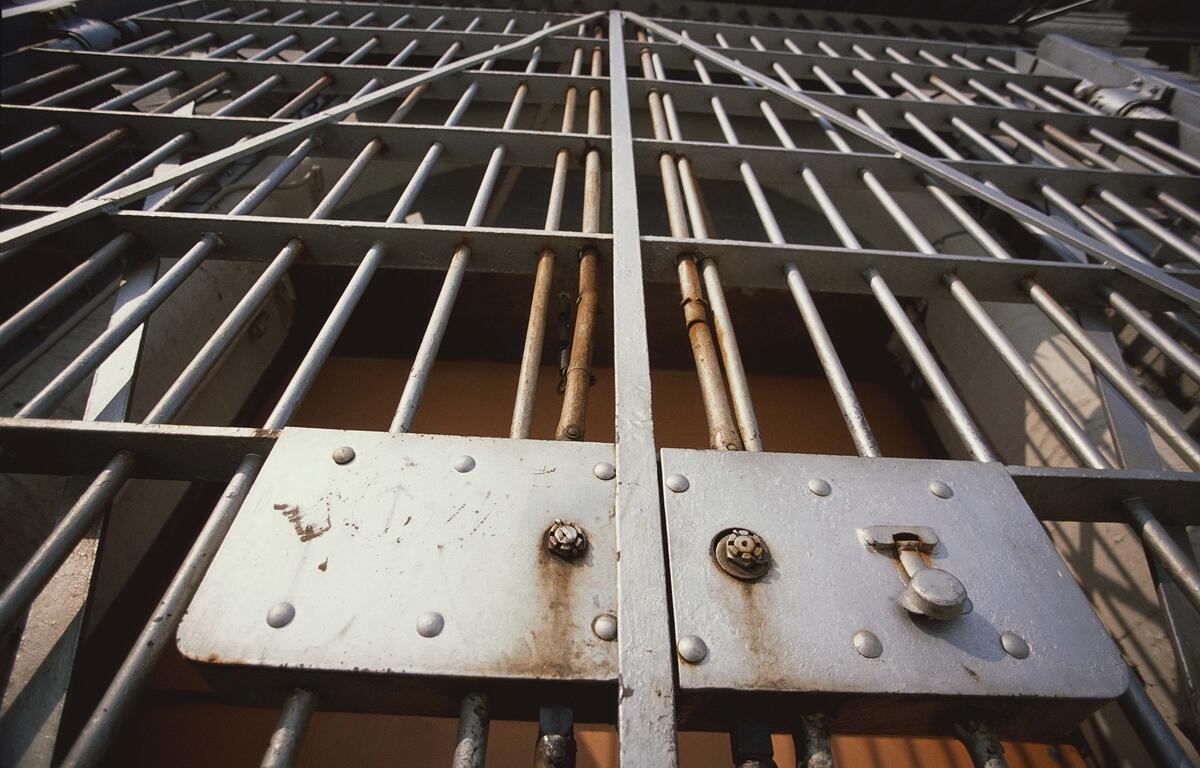 Close-up of a metal jail cell door with lock and bars.