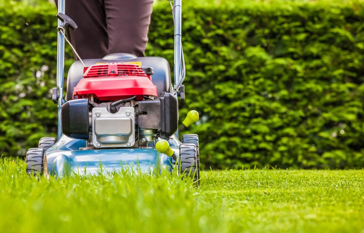 Person mowing lawn with push mower in a green yard
