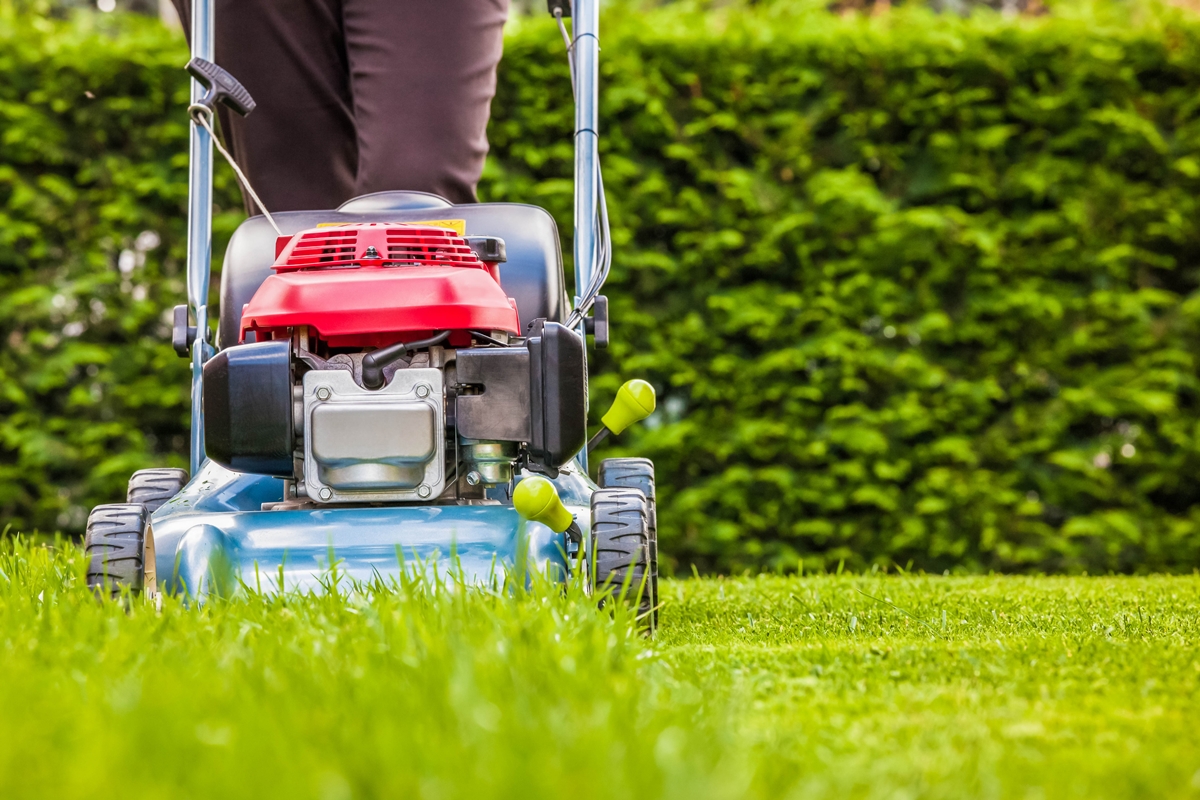 Person mowing lawn with push mower in a green yard