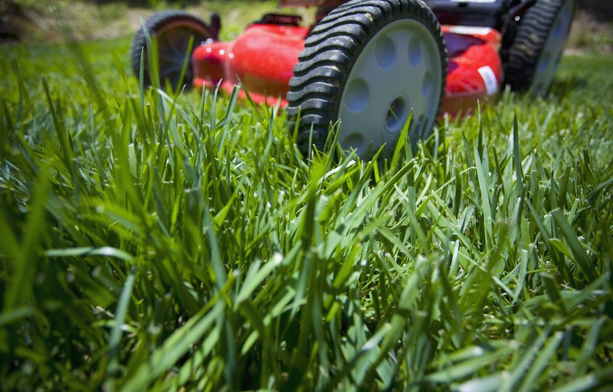 Close-up of a red lawn mower cutting green grass in a residential yard.
