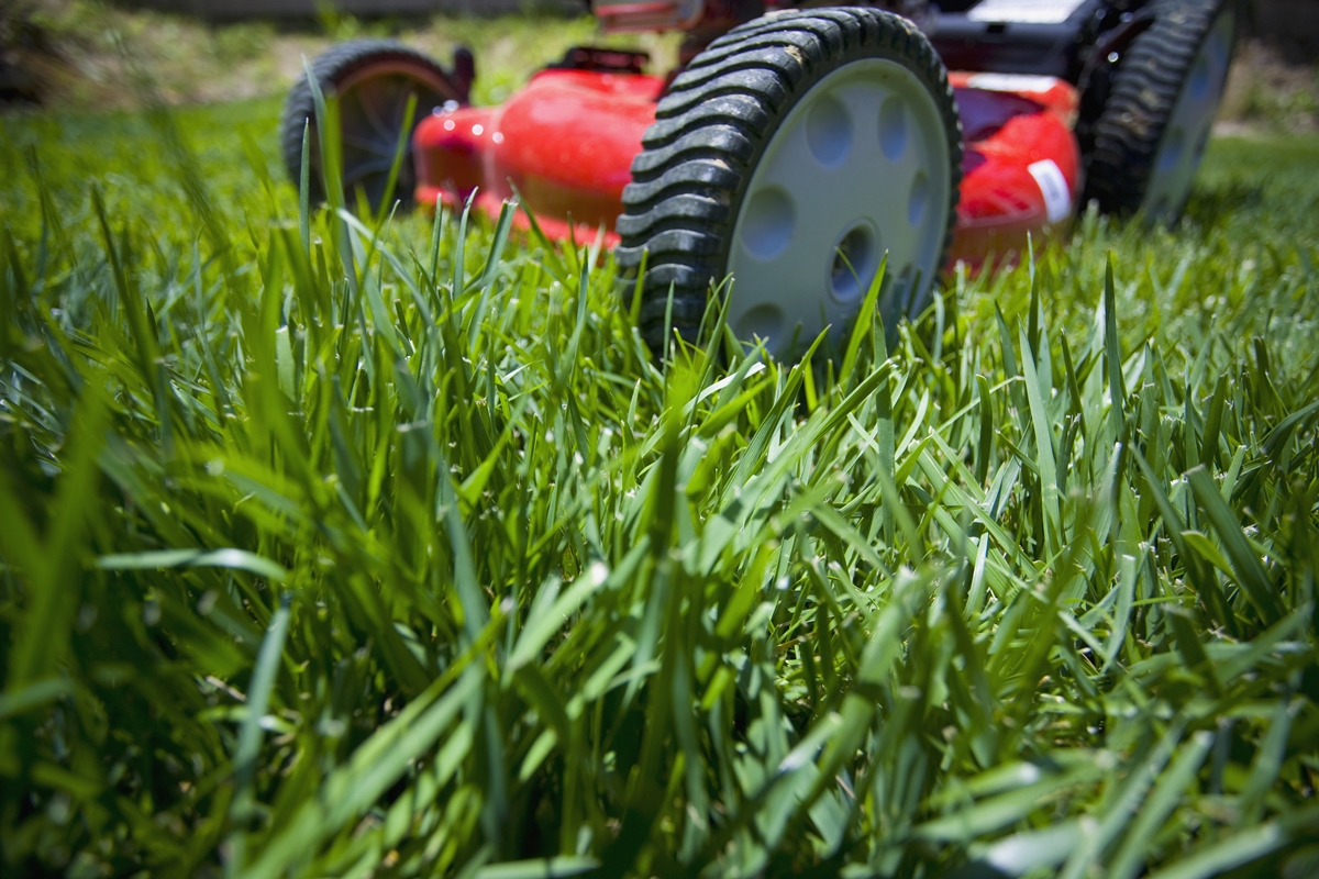 Close-up of a red lawn mower cutting green grass in a residential yard.