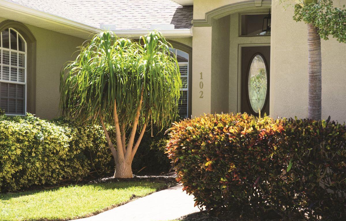 A look at the data for Ocala and Marion County's real estate market
