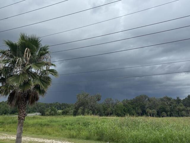 Storm clouds over grassy field with palm tree in Marion County, Florida