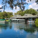Several boats on a river are docked at a waterfront building surrounded by trees. The boats include green-roofed glass-bottom tour boats and a small pontoon boat labeled "Silver River." The building has a green roof with white trim and multiple gables. Palm trees and other vegetation are visible in the background under a blue sky with scattered clouds. Trees and sky are reflected on the river.