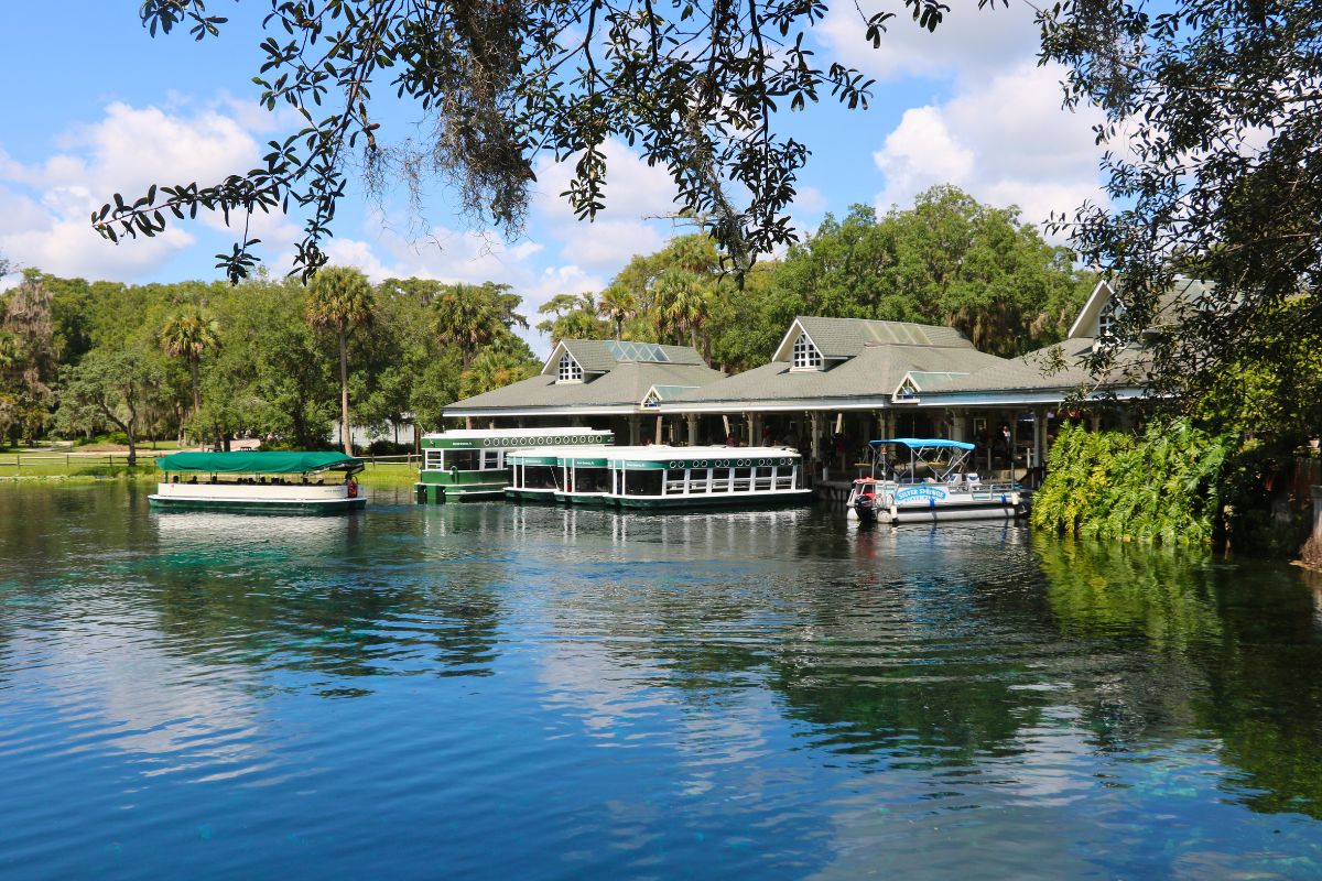 Several boats on a river are docked at a waterfront building surrounded by trees. The boats include green-roofed glass-bottom tour boats and a small pontoon boat labeled "Silver River." The building has a green roof with white trim and multiple gables. Palm trees and other vegetation are visible in the background under a blue sky with scattered clouds. Trees and sky are reflected on the river.