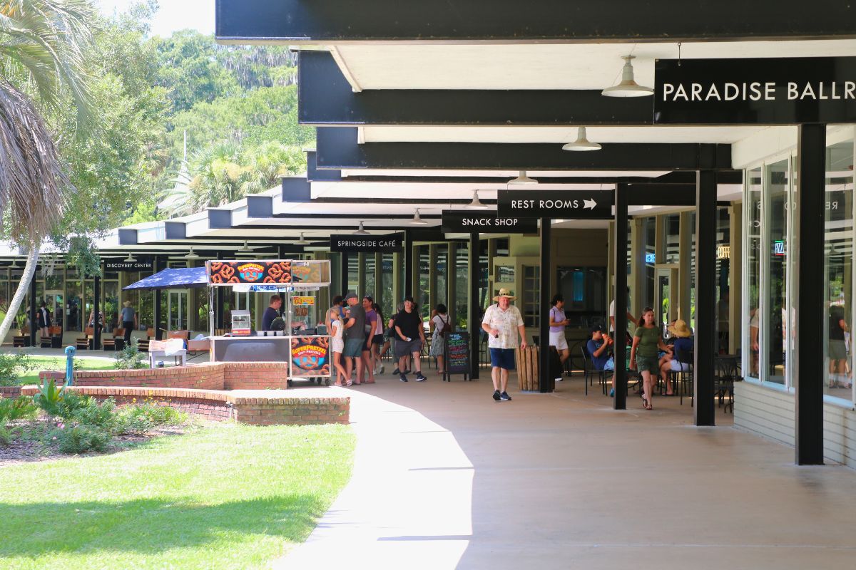 Spring Festivals Happening in the 352 this Weekend