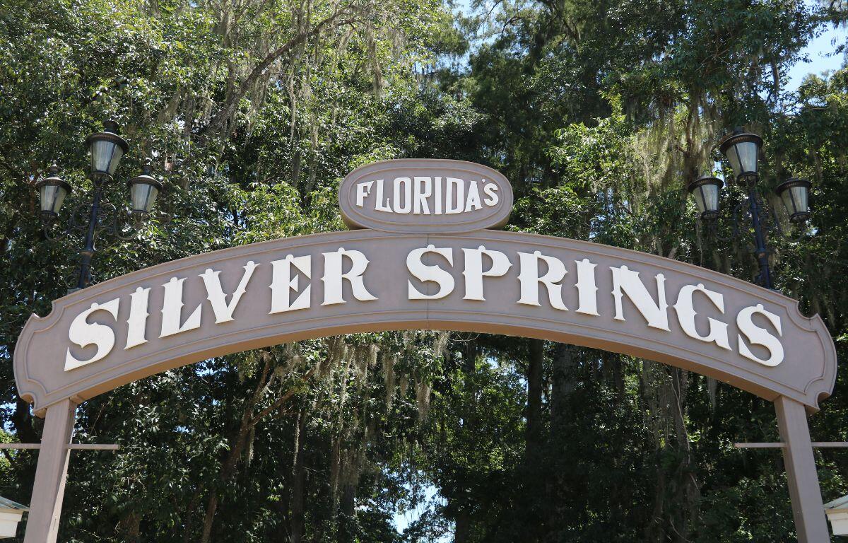 A brown sign reads, "Florida's Silver Springs" in bold white letters with trees surrounding it.