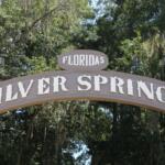 A brown sign reads, "Florida's Silver Springs" in bold white letters with trees surrounding it.