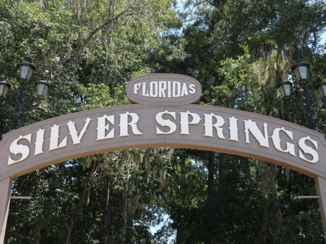A brown sign reads, "Florida's Silver Springs" in bold white letters with trees surrounding it.