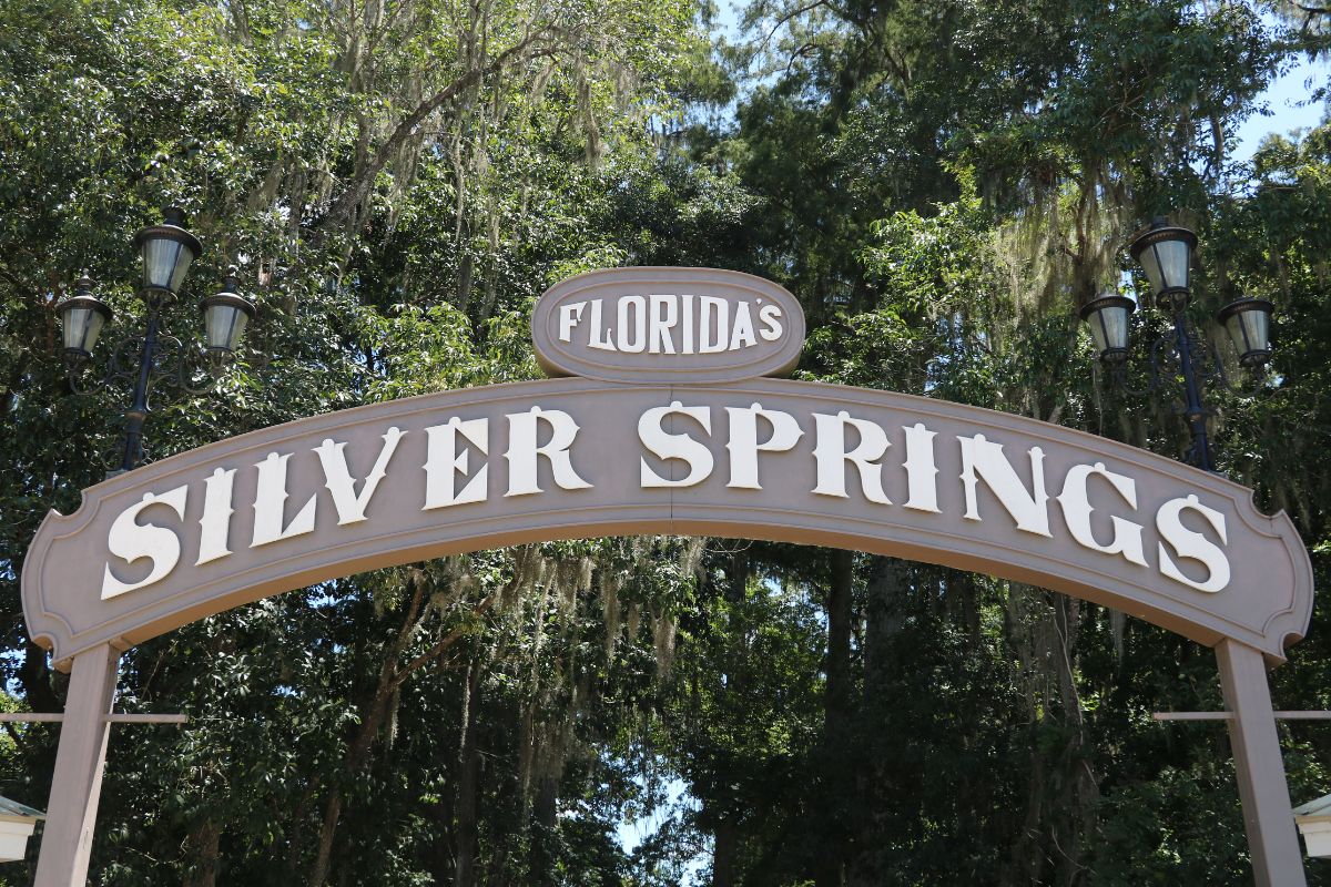 A brown sign reads, "Florida's Silver Springs" in bold white letters with trees surrounding it.
