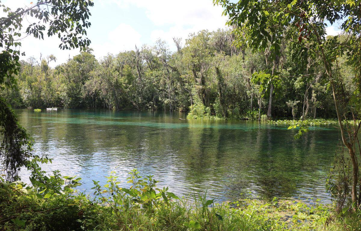 A river winds through a lush forest with dense green trees and foliage along the shoreline. The water reflects the blue sky and is tinged with shades of turquoise from the limestone below it. A small kayak floats in the distance near the tree line.
