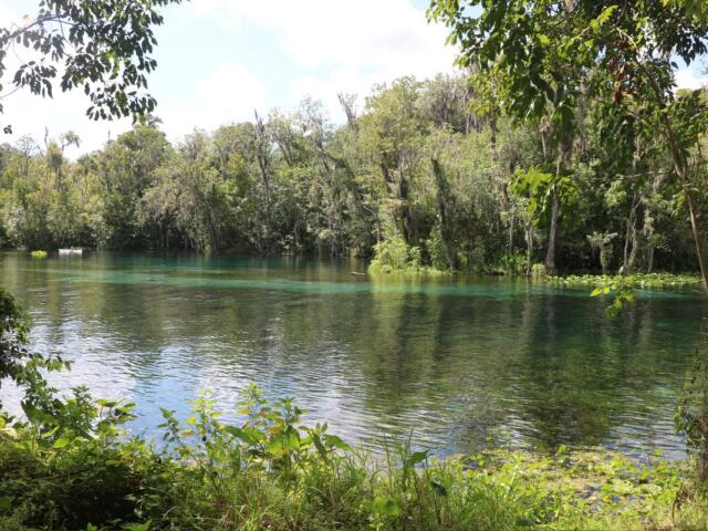 A river winds through a lush forest with dense green trees and foliage along the shoreline. The water reflects the blue sky and is tinged with shades of turquoise from the limestone below it. A small kayak floats in the distance near the tree line.