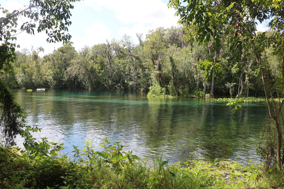 A river winds through a lush forest with dense green trees and foliage along the shoreline. The water reflects the blue sky and is tinged with shades of turquoise from the limestone below it. A small kayak floats in the distance near the tree line.