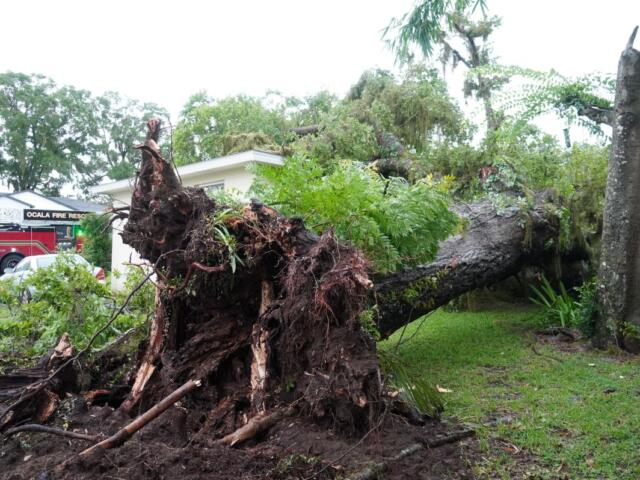 Uprooted tree that fell on a duplex in Marion County Florida