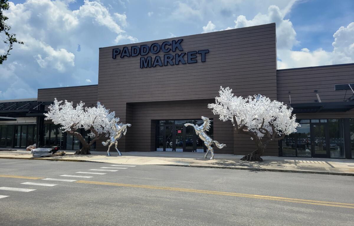 Exterior view of the Paddock Market building in Ocala, Florida, featuring a modern dark wood facade. In front of the entrance are two decorative metallic horse statues rearing up, positioned between two artificial white blossom trees. The sidewalk and street are visible in the foreground under a partly cloudy sky.