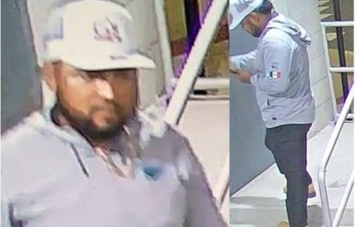 Ocala Police Department need help in identify a man who vandalized several vehicles on 8/23
