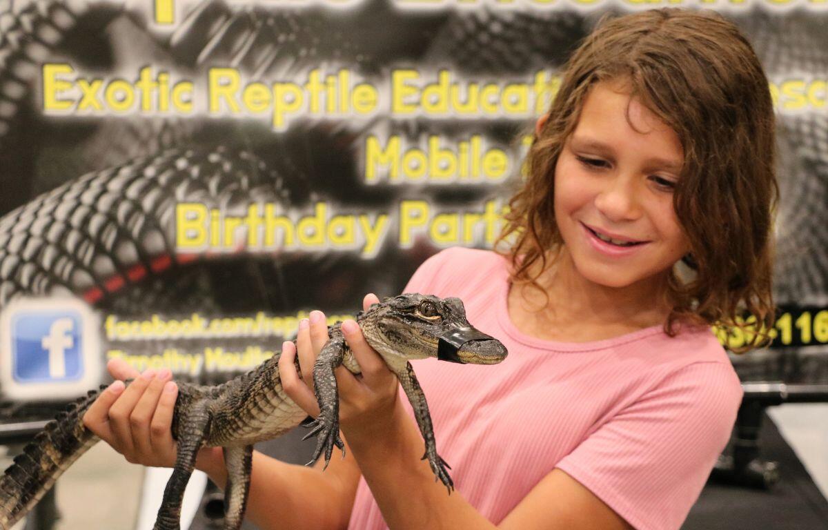 Girl smiling while holding a small alligator.