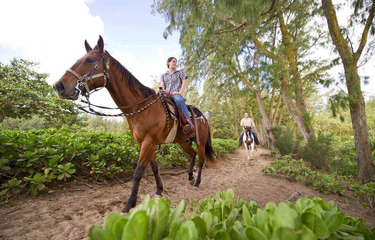 Horseback riding in the Fall is a must date night