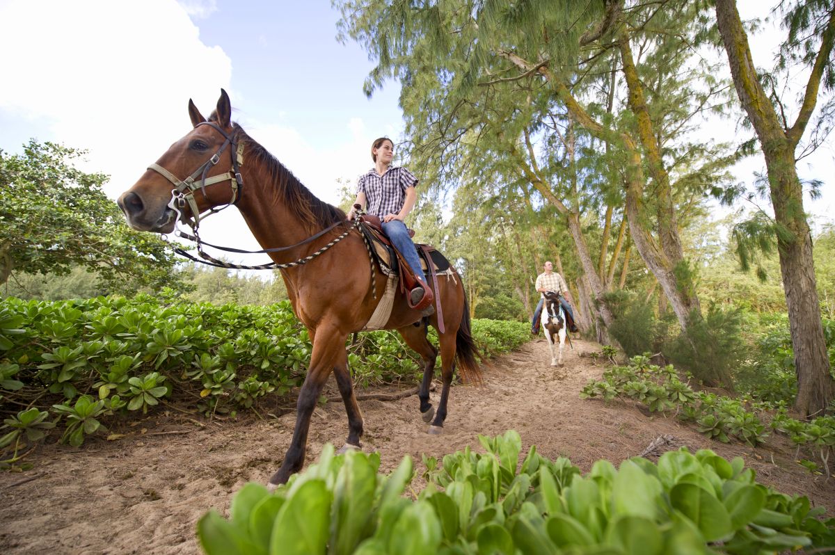 Horseback riding in the Fall is a must date night