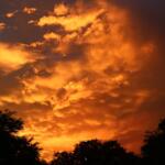 A vivid orange and gold sunset illuminates dramatic clouds with a tree silhouette in the foreground.