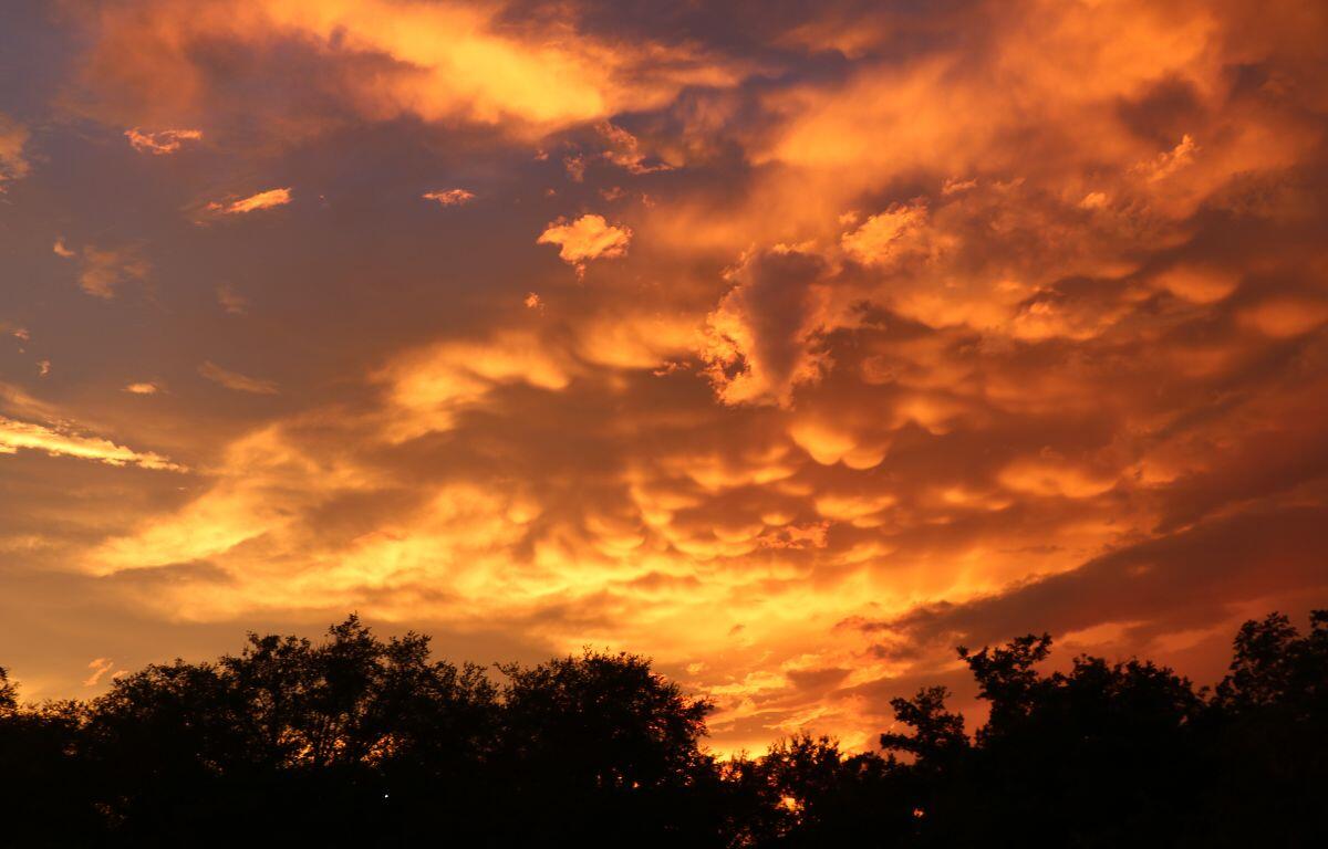 Golden clouds stretch across the sky above tree silhouettes at dusk.