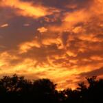 Golden clouds stretch across the sky above tree silhouettes at dusk.