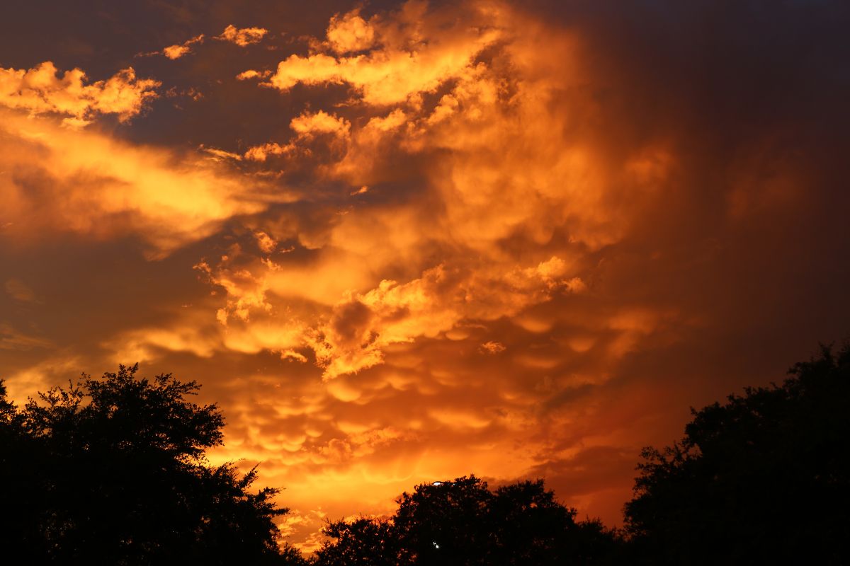 A vivid orange and gold sunset illuminates dramatic clouds with a tree silhouette in the foreground.