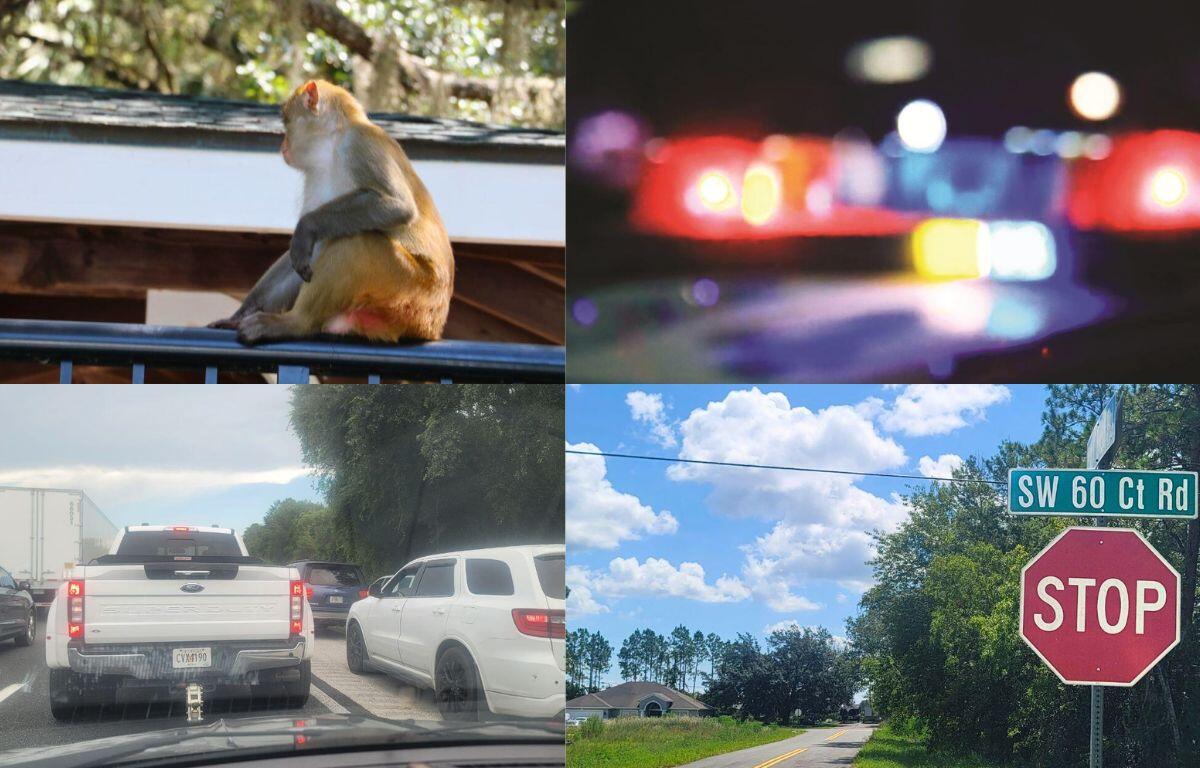 Collage of images from Ocala, 352 Today's Top stories